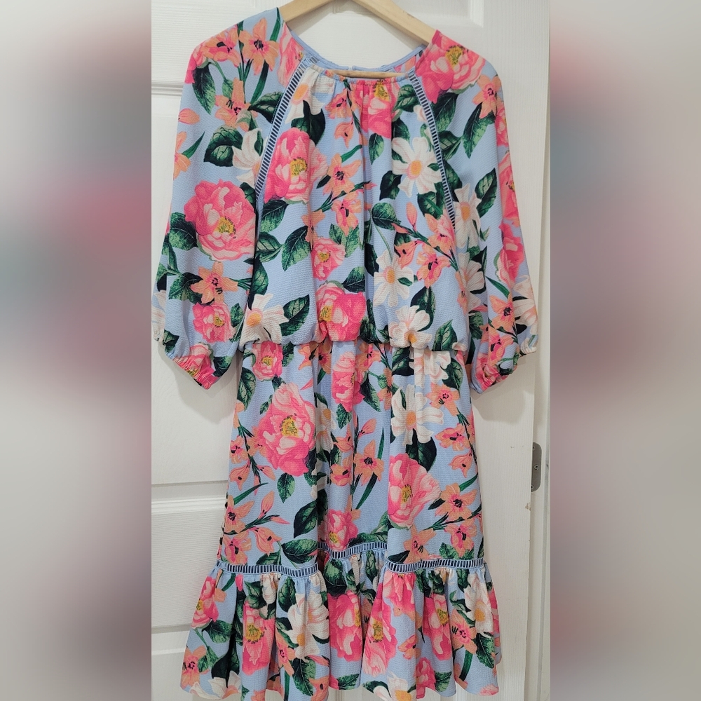 Eliza J Floral Ruffle Flounce Dress - Pink and Blue